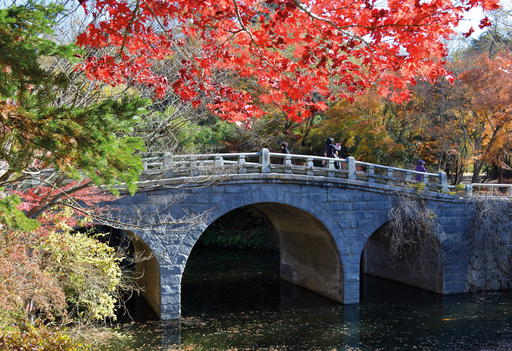 Bulguksa Temple in Gyeongju