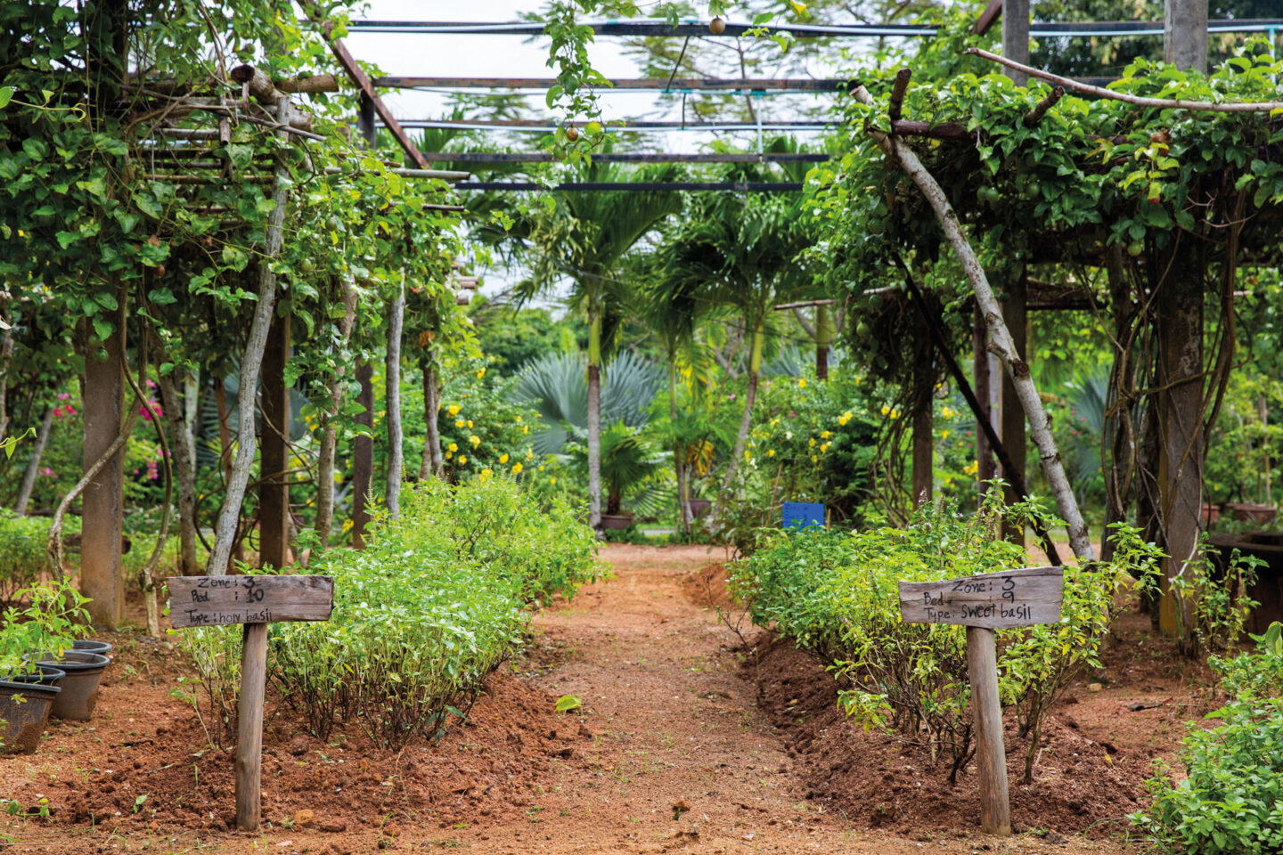 The PRU jampa farm