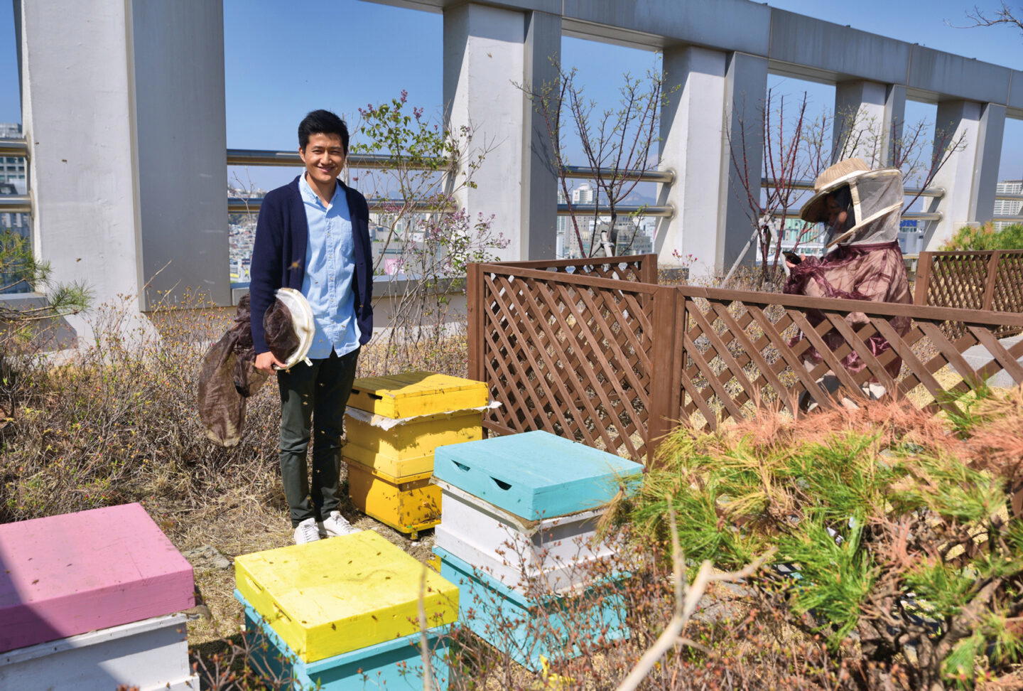 Park Jin popularised urban beekeeping in South Korea