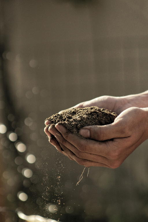 Chefs are preserving the soil used in farming produce