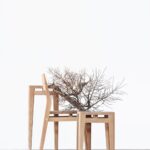 Credit: Evelyn Pritt