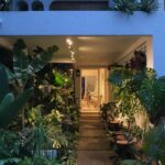 Credit: Sputnik Forest Labs