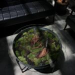 Credit: Sputnik Forest Labs