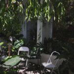 Credit: Sputnik Forest Labs