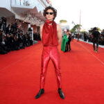 Timothée Chalamet wearing Haider Ackermann and Cartier