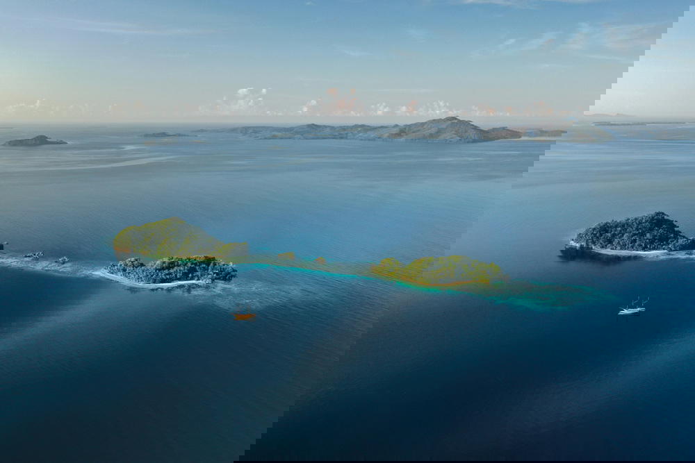 The foundation’s initiatives include addressing ocean acidification