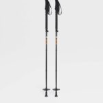 Carbon ski poles, from Zegna and TSL