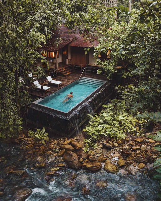 Swimming in the rainforest is a unique experience