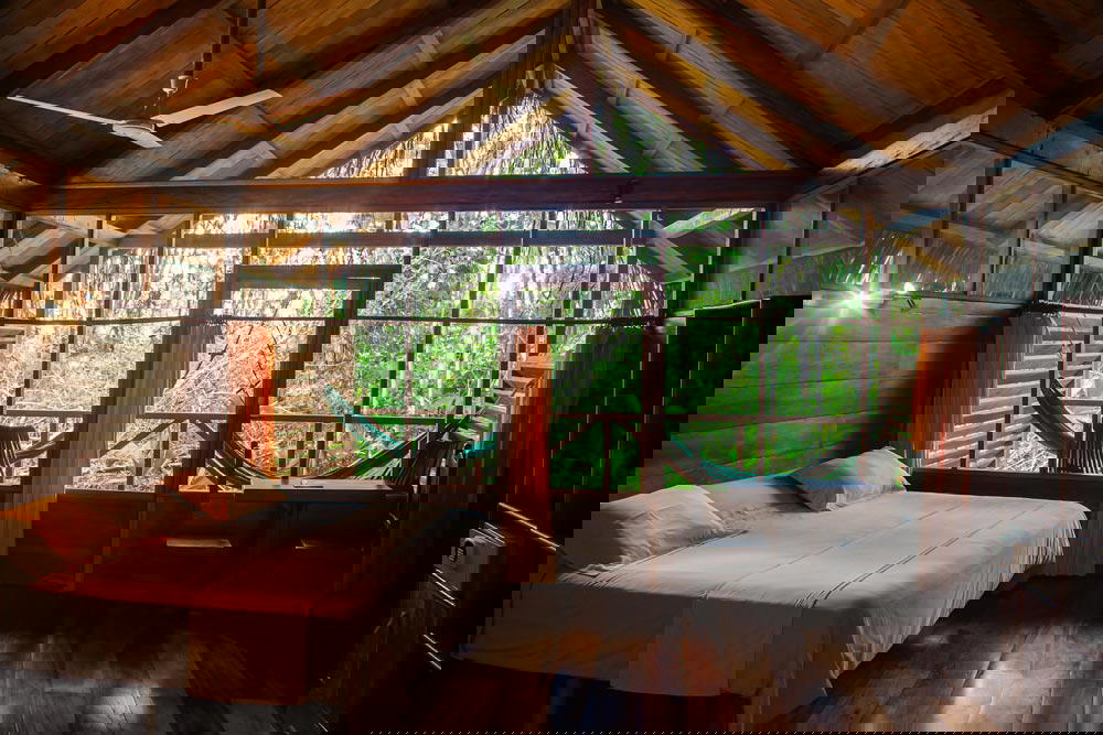 Sacha Lodge in Ecuador