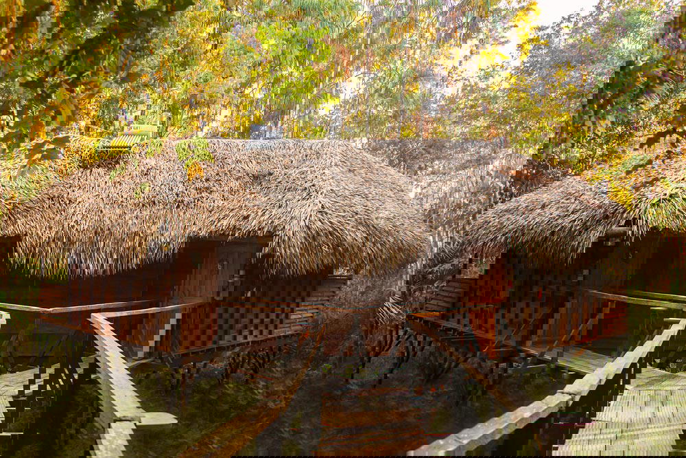 Sacha Lodge in Ecuador