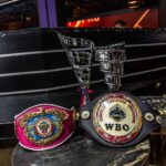 The Ring White Collar Boxing Gala