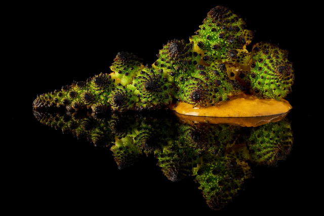 Romanesco with ginger tomato sauce