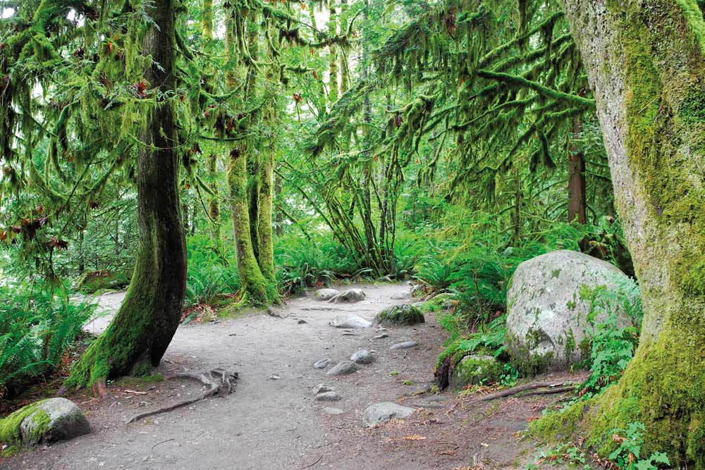 Lynn Canyon Park