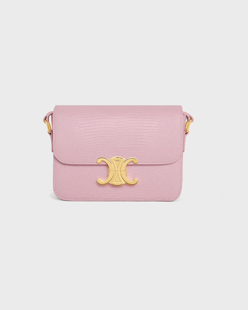 Story Of An Icon: The Celine Triomphe | a+ Singapore