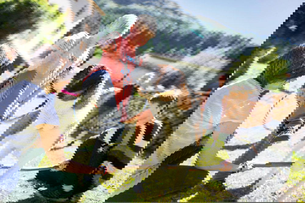 Generally, Saint Bernards are affectionate and have a good temperament