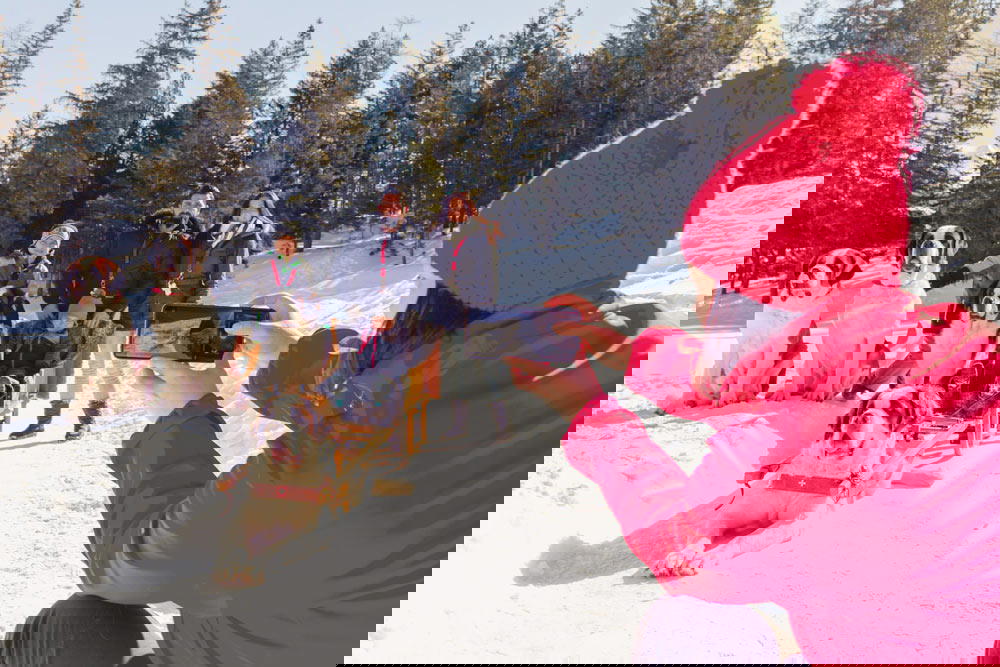 They can grow up to 76cm in height and weigh as much as 82kg