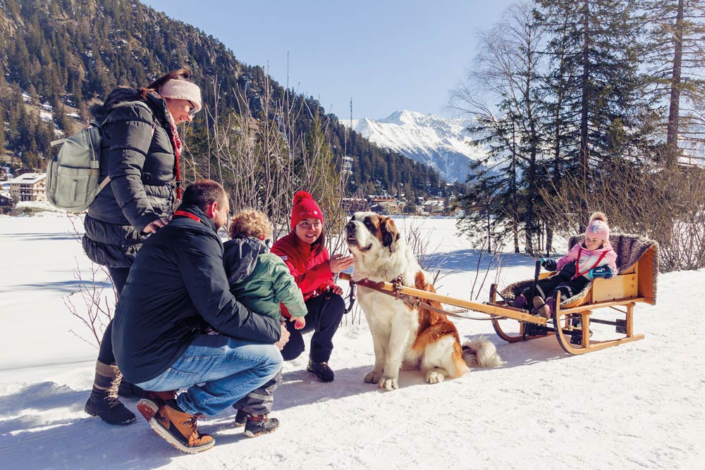 The name for the breed comes from the Great St. Bernard Hospice