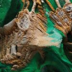 Turkish-American media artist Refik Anadol trained algorithms via machine learning to create the exhibition’s colourful and vibrantly textured digital panels (Credit: Bulgari)