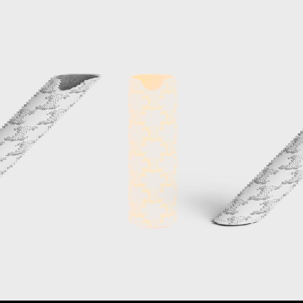 Triomphe canvas and calfskin travel spray case, from Celine