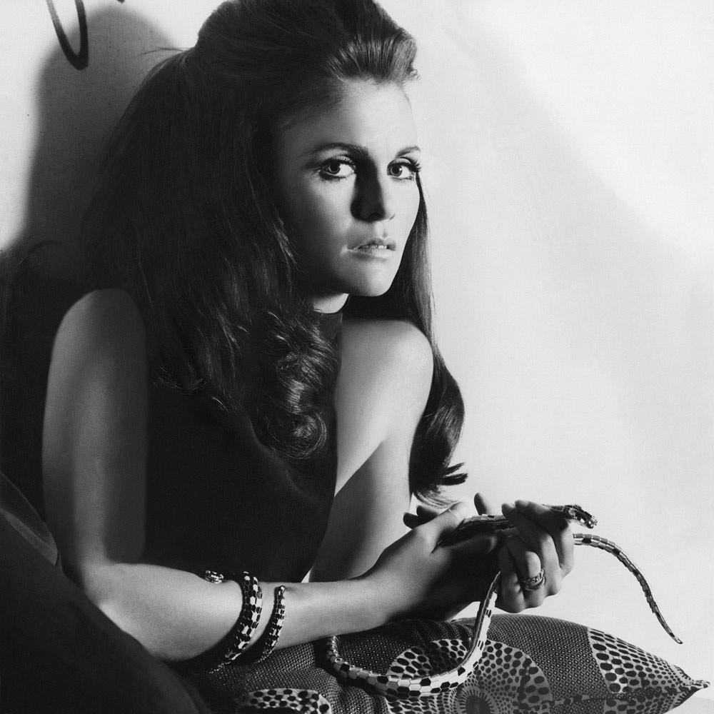 Close-up of Principessa di Genzano wearing a Serpenti bracelet and belt, by Patrick de Barentzer (Credit: Bulgari)