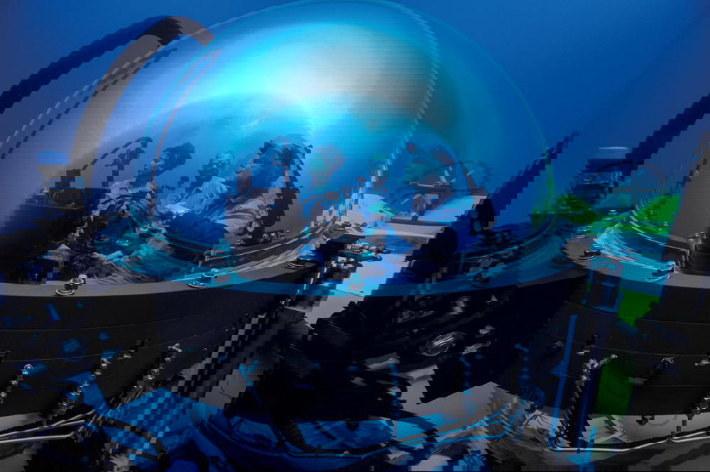 Sylvia Earle and Salome Buglass descend in the DeepSee submersible in search of deep sea kelp that may be new to science