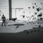 The air felt heavy like a sauna in the back streets of old town Al Souk in Dubai. In this tiny urban oasis, a constant dance wages between men and the feathered friends in the neighbourhood (Credit: Lionel Leo)