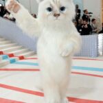 As Choupette (Credit: Getty Images)