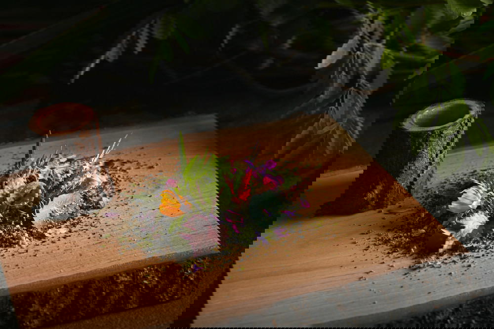 Scenery of Edible Garden City is inspired by Singapore Food Agency’s “30 by 30” initiative and is exclusive to the residency (Credit: Mandala Masters)