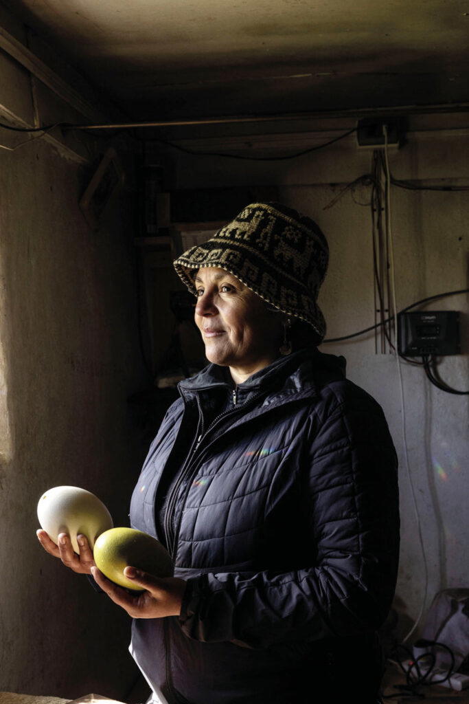 Alejandra Saavedra, in charge of the Ñandú Reproduction Center, holding a green egg sample used to stimulate ñandúes to lay eggs (Credit: Rolex)