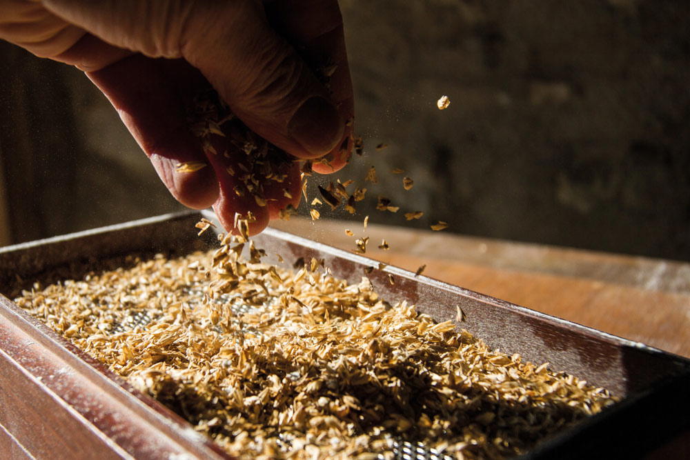 Organic barley grist