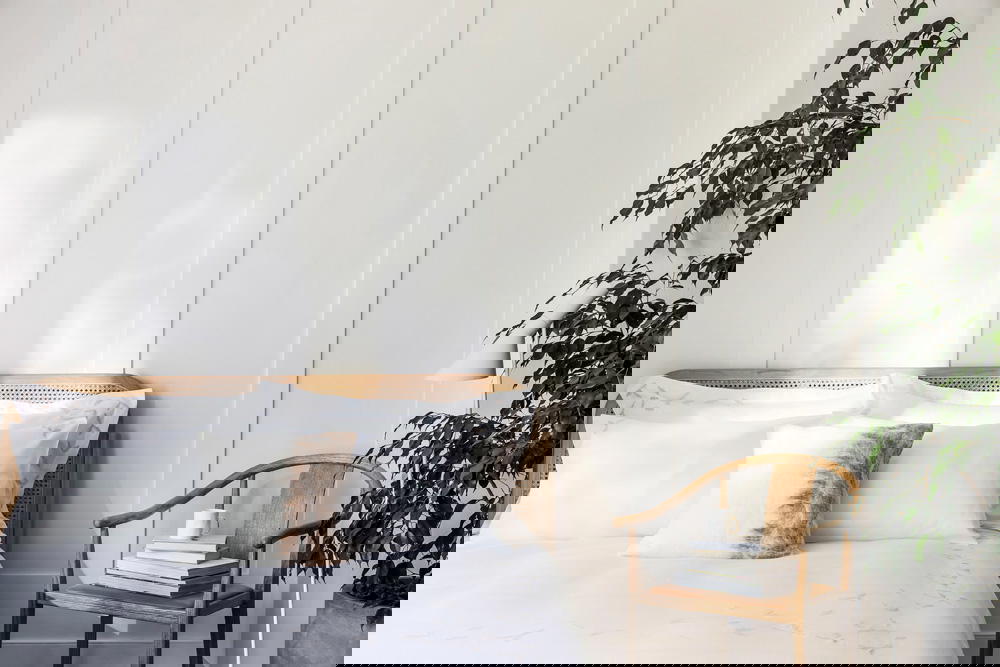 Baea’s Wild Meadow Pampas collection