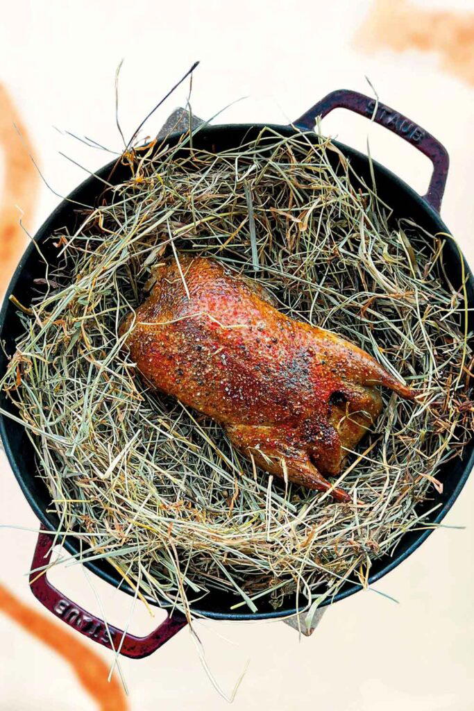 The wild duck at Ecriture