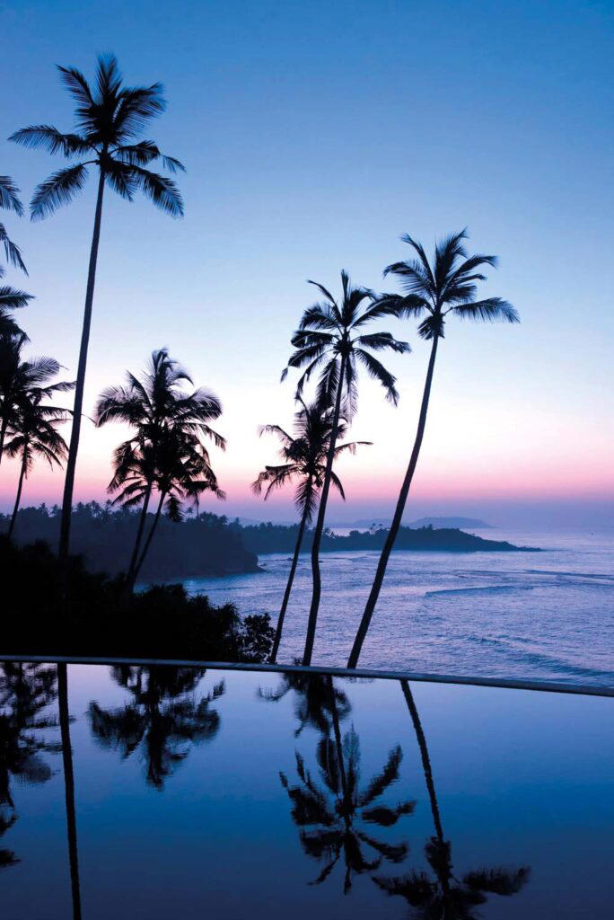 Credit: Resplendent Ceylon