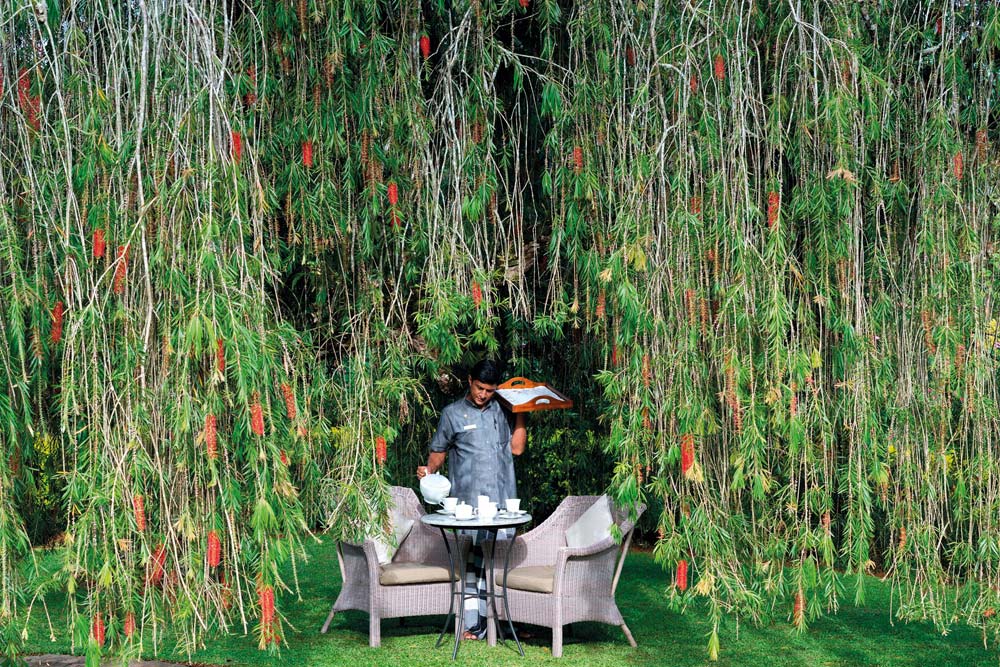 Tea, greenery and other required ingredients for relaxation (Credit: Resplendent Ceylon)