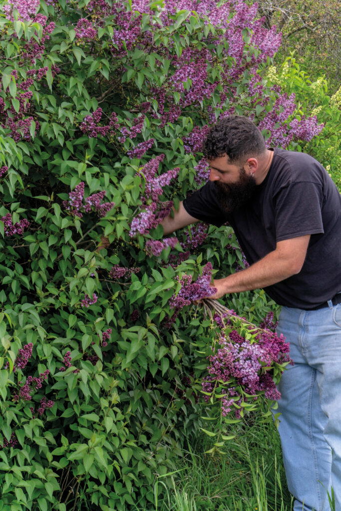 Clément Bouteille harvesting flowers for This Humid House Paris
