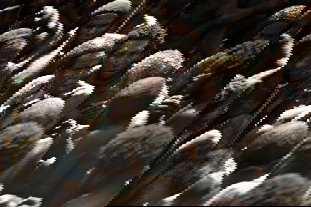 Credit: Hannes Schmid