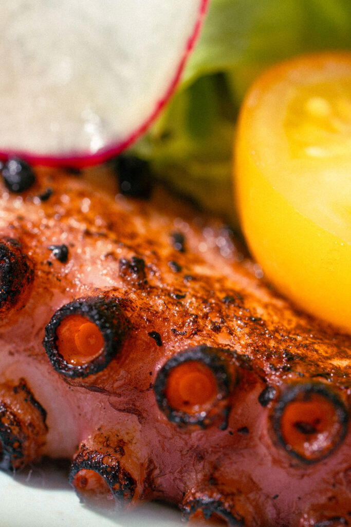 Close up of the grilled octopus