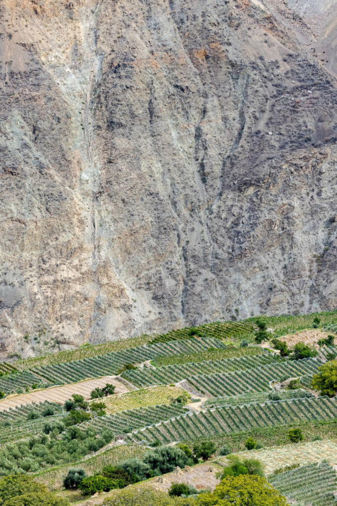 Célèbre vineyard, Yunnan