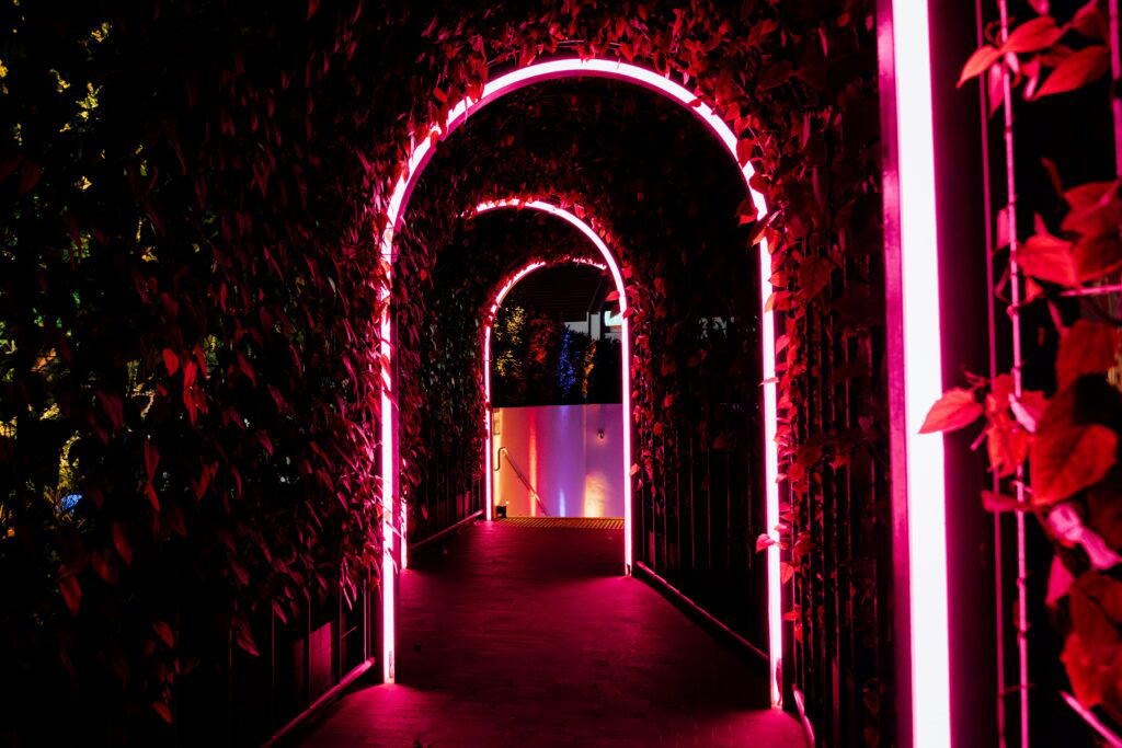 Jungle Ballroom Secret Tunnel