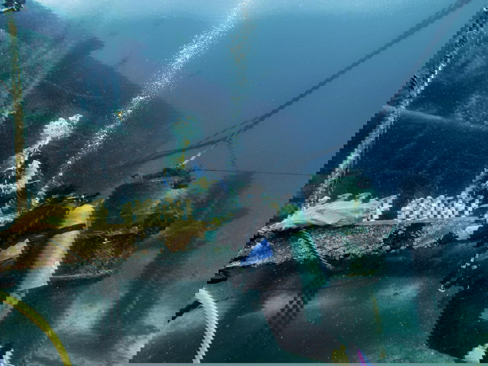 Probing corals outside Aquarius Reef Base during Mission 31 (Credit: Christopher Marks)