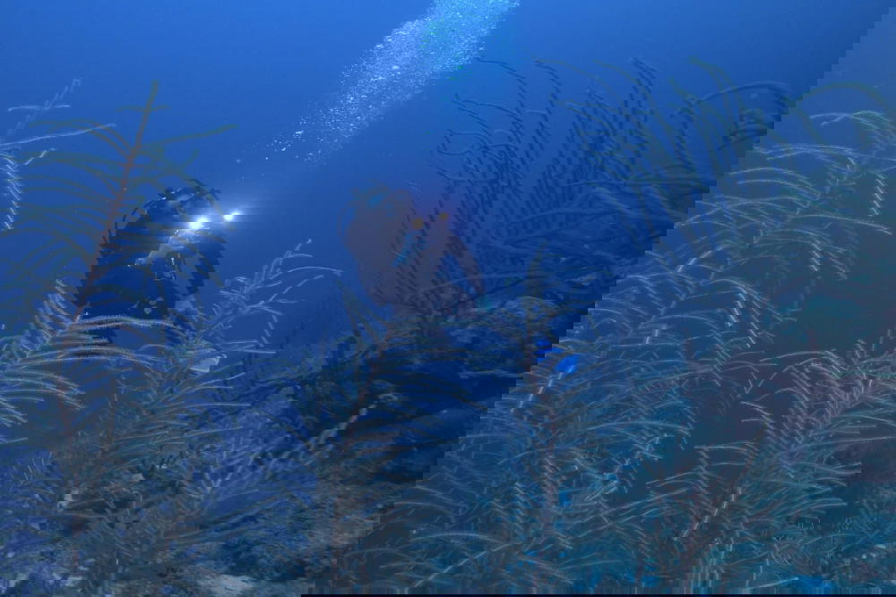 Groundwork for Proteus, which recently signed an engineering, procurement, and construction contract with a firm to create hyperbaric and pressure vessels in the ocean (Credit: Fabien Cousteau)