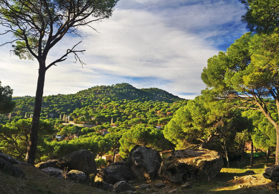 San Martin de Valdeglesias vineyard
