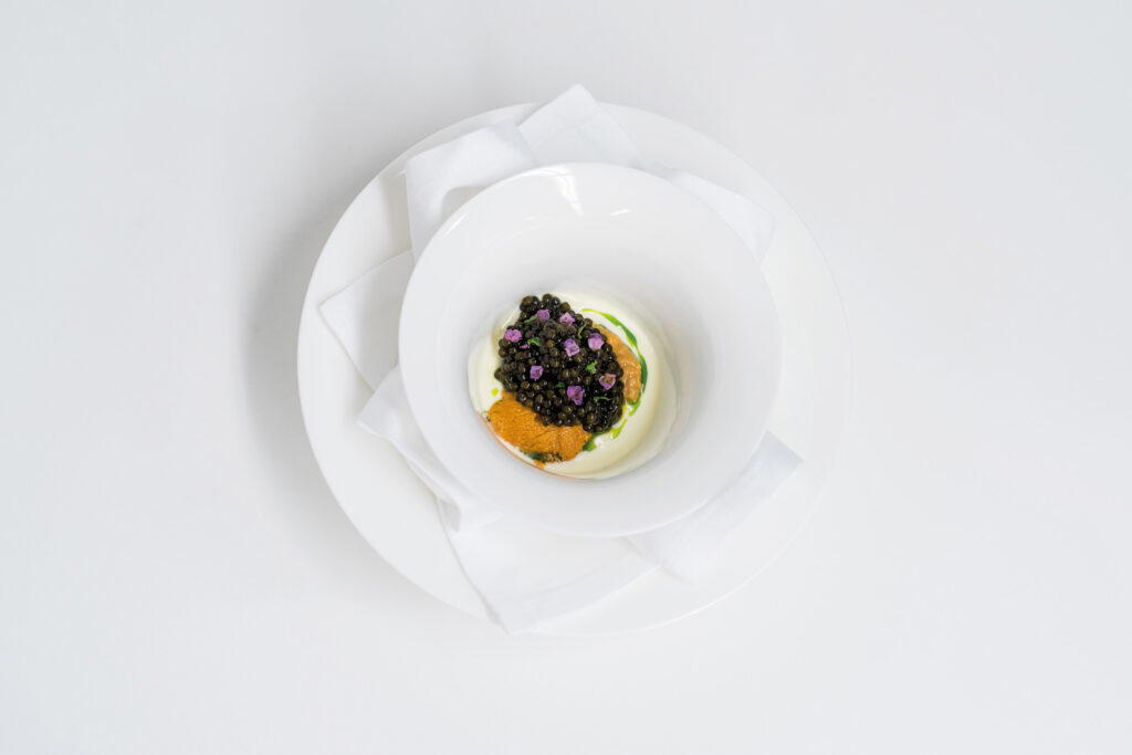 Seeigel Louise by Jan Hartwig