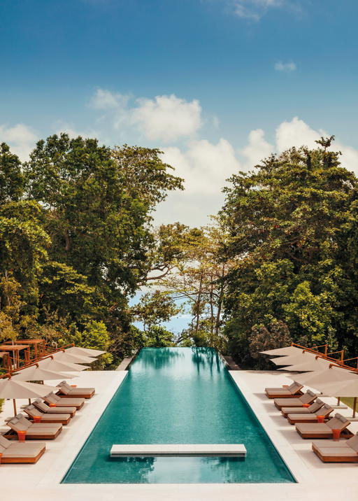 A secluded oasis surrounded by lush jungle flora and the South China Sea