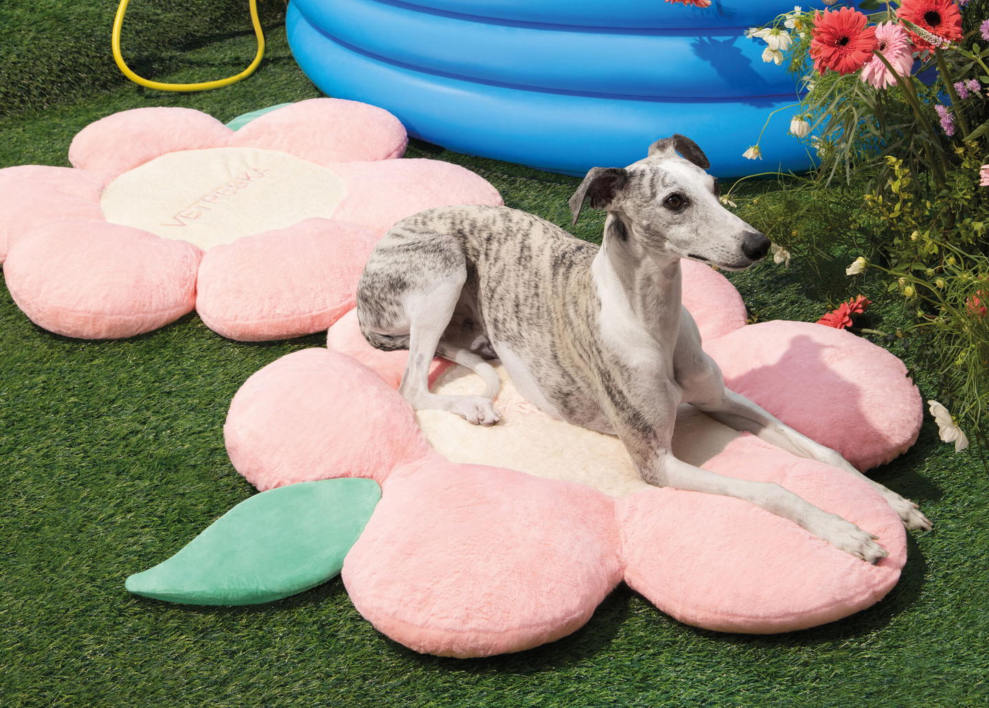 Vetreska Flies The Singapore Flag In Pet Products | a+ Singapore