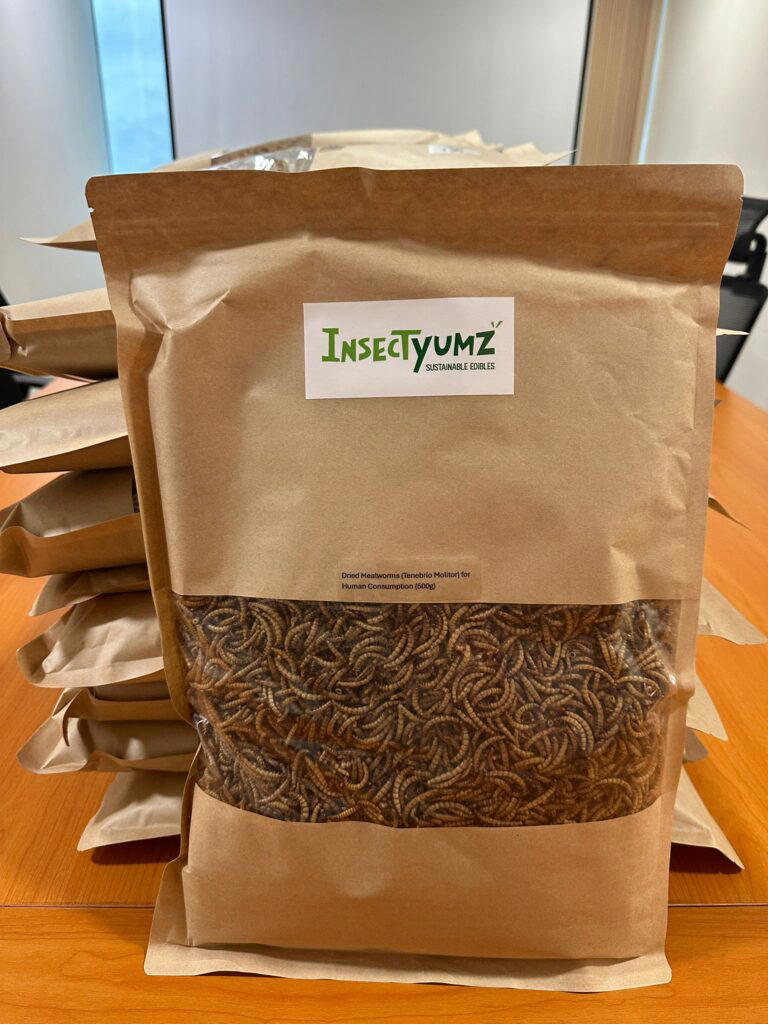 InsectYumz offers edible cricket and mealworm snacks
