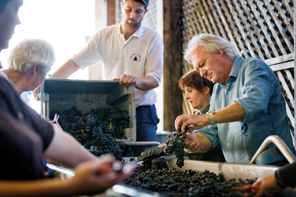 The harvest reception area