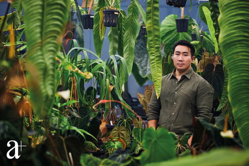 Yang estimates he’s spent half a million dollars on his plants