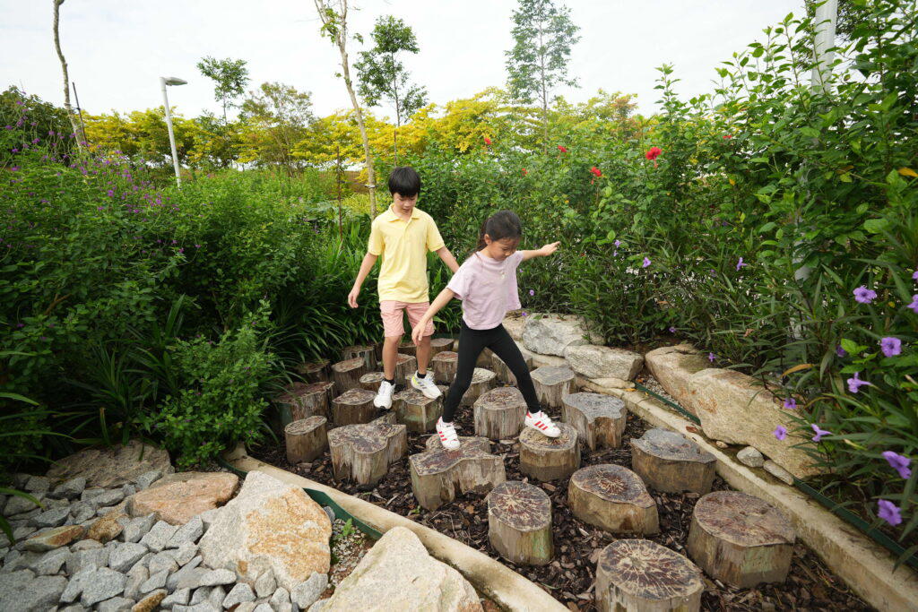 Log stumps at Nature Playgarden in the Woodlands Healing Garden