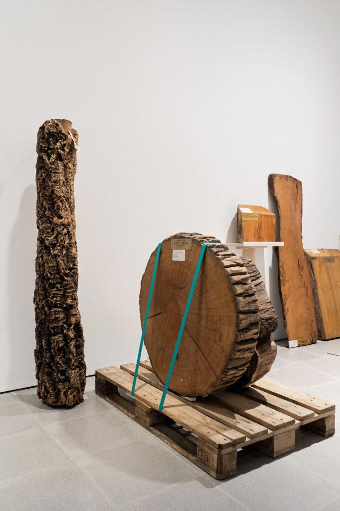 Commissioned by London’s Serpentine Galleries, “Cambio” is an ongoing investigation into the extraction, production, and distribution of wood products
